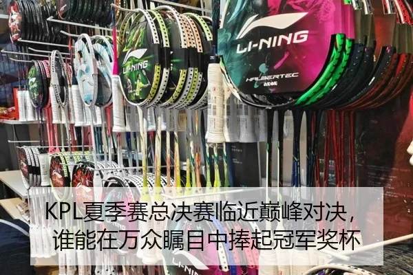 KPL夏季赛总决赛临近巅峰对决，谁能在万众瞩目中捧起冠军奖杯（Kaiyuan Games）